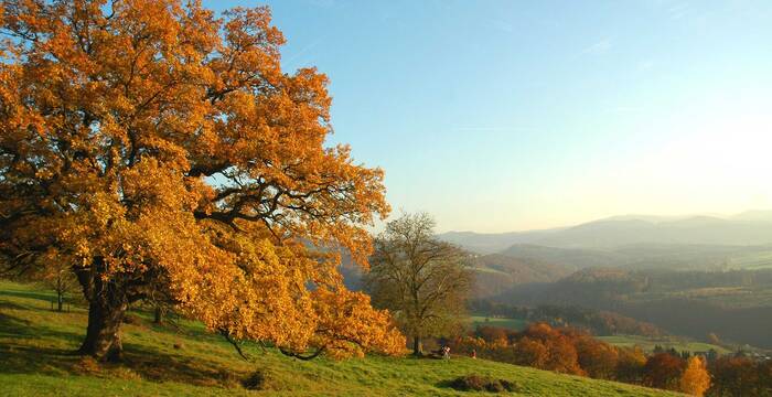 Tagesexkursion Pro Natura aktiv Spaetherbst im Baselland