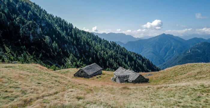 Alpe del Lago TI