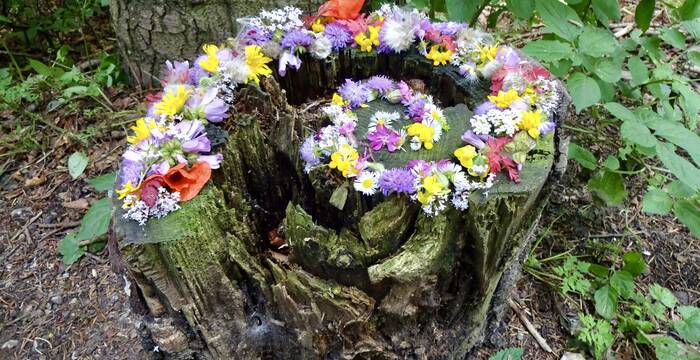 Spirale d'escargot août (nom connu de Pro Natura)