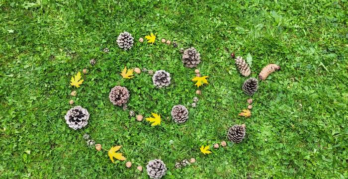 Gewinnerfoto Oktober (Name Pro Natura bekannt)