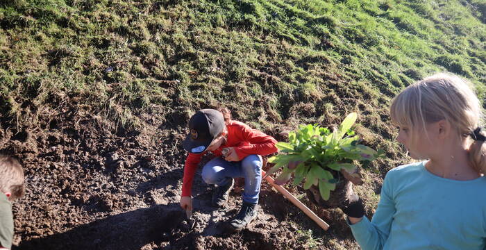 Grüner Daumen im Einsatz