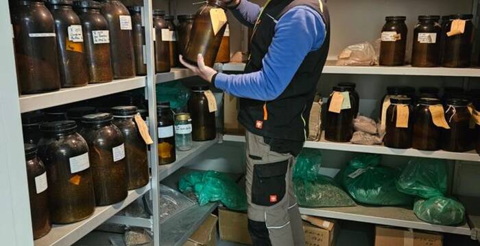 Kühlkammer zur Samenaufbewahrung im Forstgarten Lobsigen