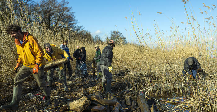 bénévoles retirant le bois des Grangettes