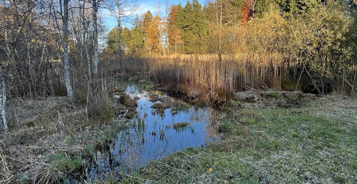 Blick aufs Schutzgebiet