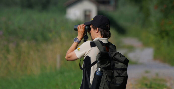 Rangerin beobachtet mit Feldstecher