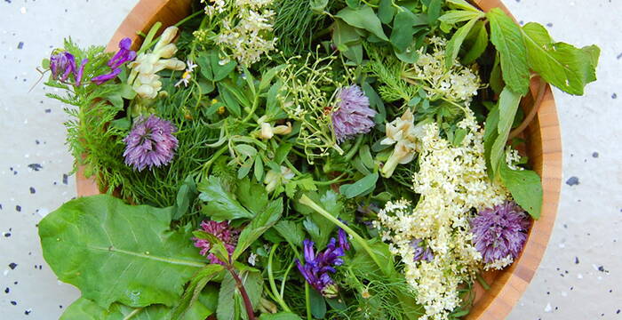 Schüssel voller Wildkräuter