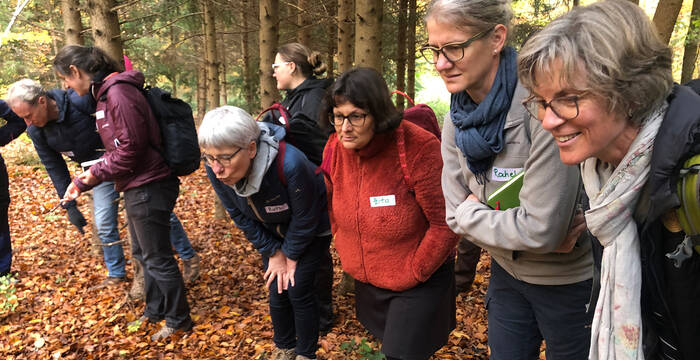 Aufmerksam am beobachten, den Blick schärfen