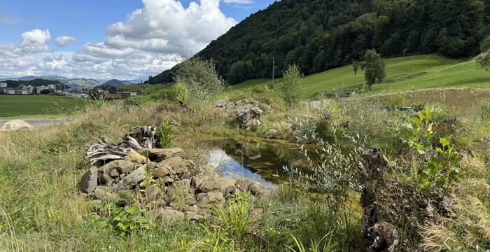 Die Natur blüht auf in der Horüti