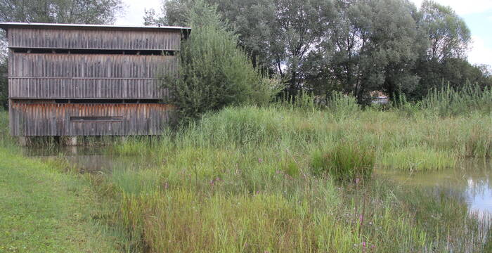 Beobachtungshütte im Ronfeld