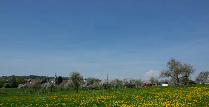 OLS Wander- und Velotag 2026