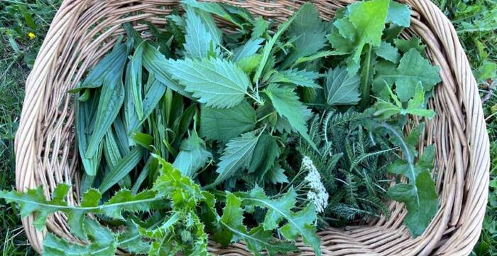 panier-cueillettes-dautomne_cr_nathalie_deshayes