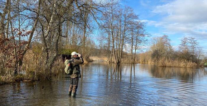 Ranger am Baldeggersee