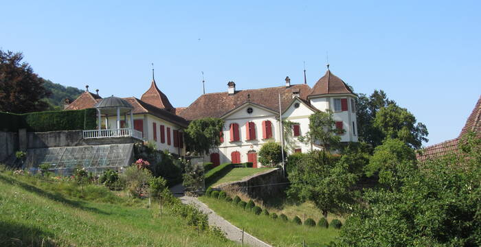 Die strukturreiche Landschaft beim Schloss Toffen