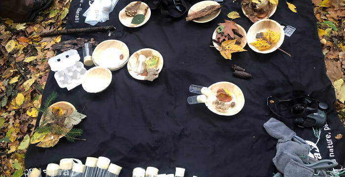 Tuch mit gesammelten Spuren