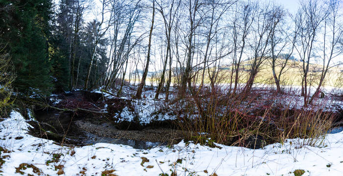 Hier soll eine vom Biber ausgebaute Auenlandschaft entstehen, welche zeitweise überschwemmt werden darf.
