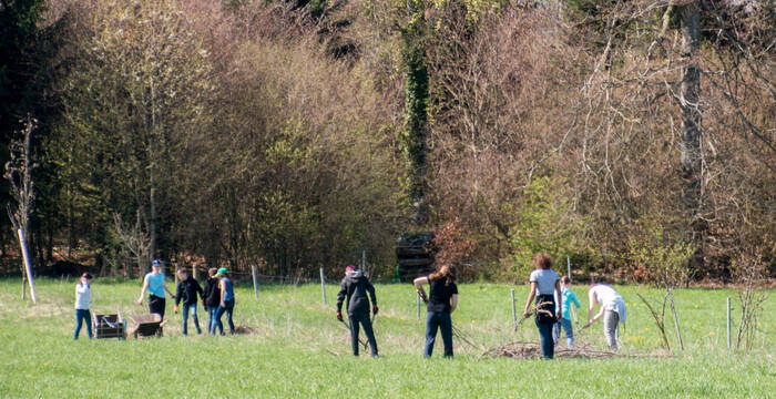 Personnes plantant une haie