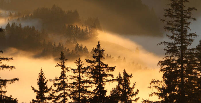 La Berra dans la brume