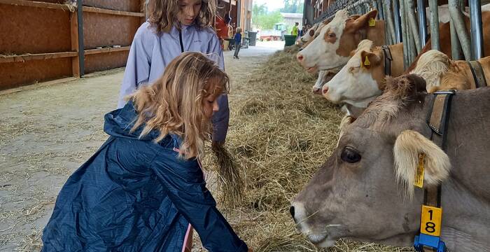 mini-camp_ferme_2025