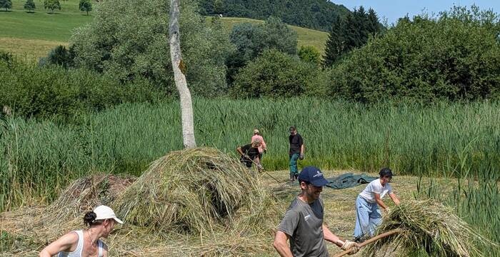 Arbeitseinsatz im Moosried