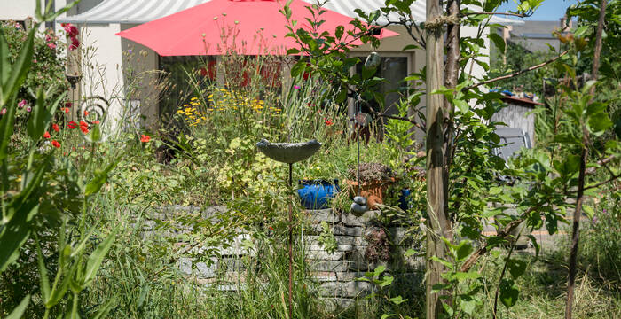 Der Naturgarten bietet vielen verschiedenen Tieren ein Zuhause. © Daniel Rihs