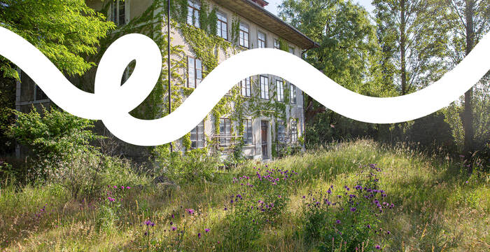 Schmetterlingsgarten