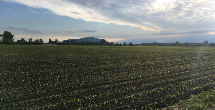 Landschaft im Seeland