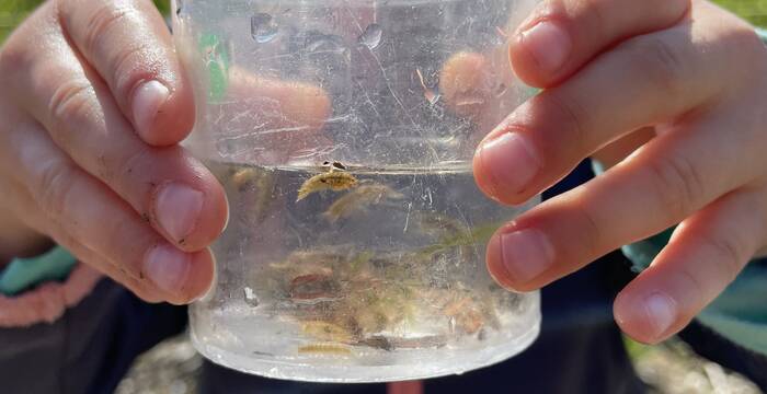 Fille tenant un pot avec macroinvertebrés