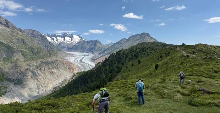Forêt d’Aletsch VS: Travaux d’entretien autour du Centre Pro Natura et dans la zone naturelle protégée de la forêt d’Aletsch. © Verena Bohren / Fondation Actions Environnement (FAE)