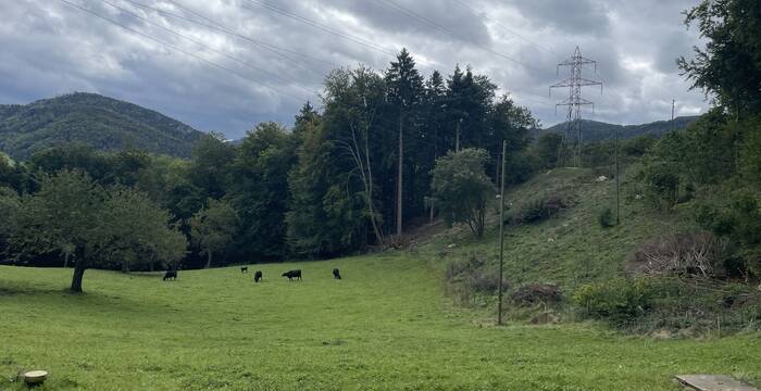 Birgel: Vernetzung über zwei Hügelketten