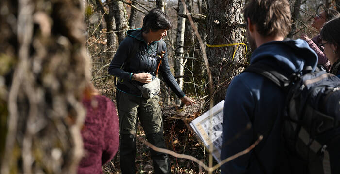 Kursleiterin erzählt von den Baummikrohabitaten bei einem Baum stehend