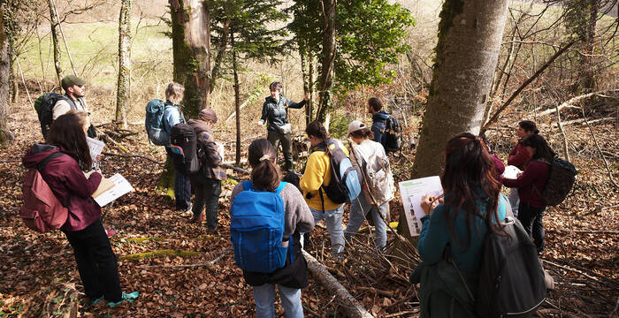 Bestimmungsübungen in Gruppen