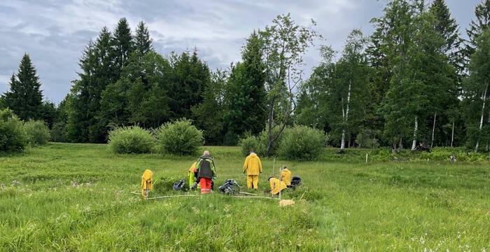 Neophytenbekämpfung Roblosen © Martin Stieger