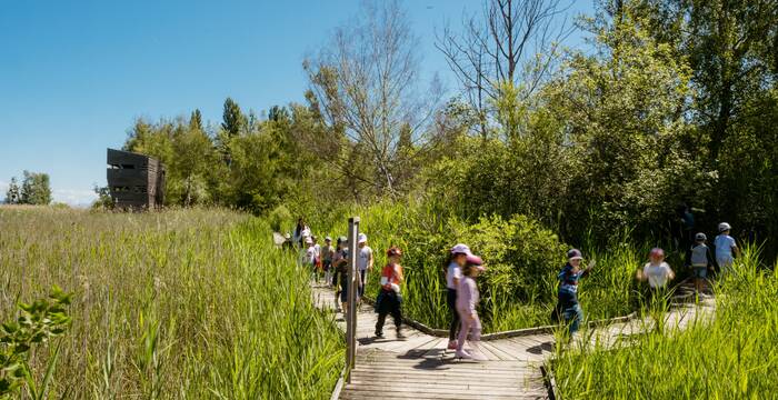 Eine Gruppe Kinder läuft durch das Naturschutzgebiet auf Holzstegen.