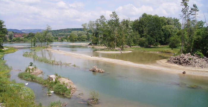 Tagesexkursion Auenbewohner Chly Rhy