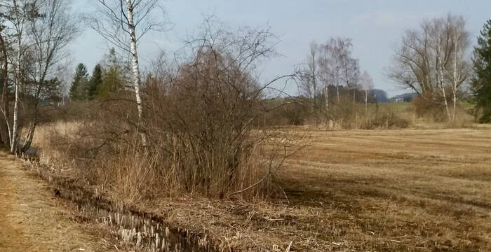 Wildert Landschaft
