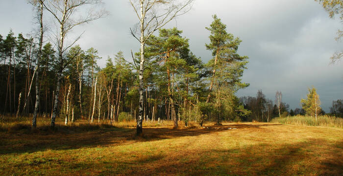 Wildert Herbst