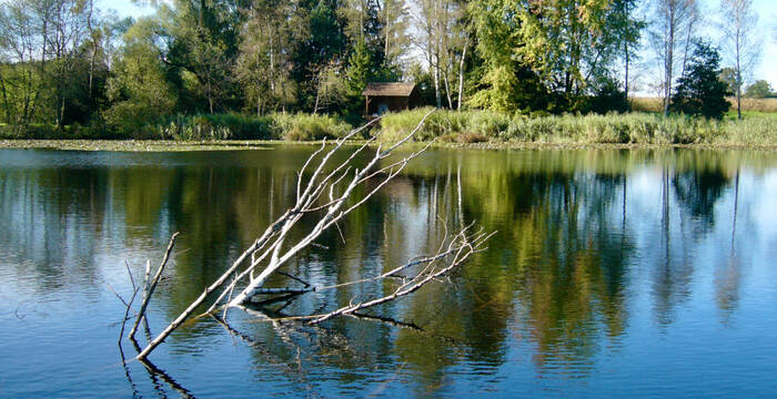 Wildertspitzweiher