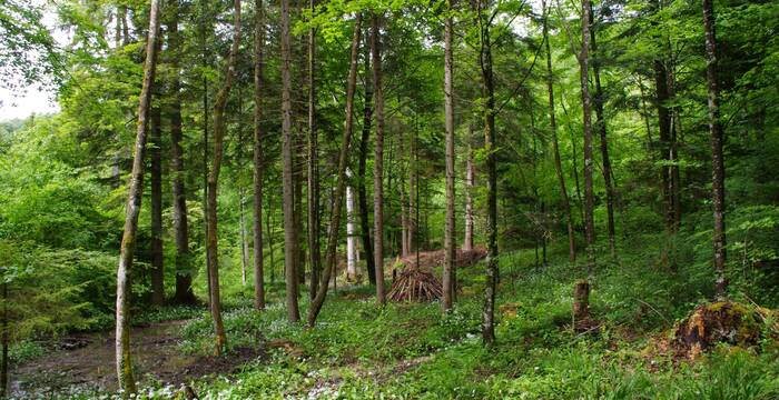 Die Landschaftskammer Schlatt. © Florence Lötscher