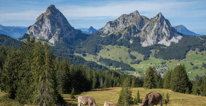 Tagesexkursion, drei Kontinente in einem Tag, Geologie rund um die Mythen SZ