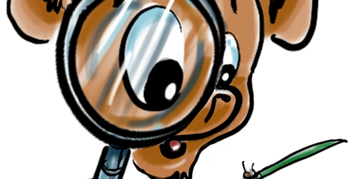 Caillou, loupe