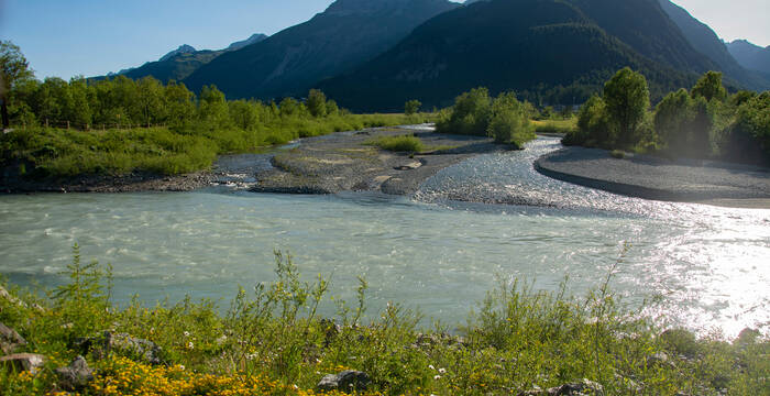 Wiederbelebte Gewässer: Ein revitalisierter, naturnaher Fluss wie hier die Inn im Engadin ermöglicht das langfristige Überleben von Fischottern und Fischen gleichermassen.