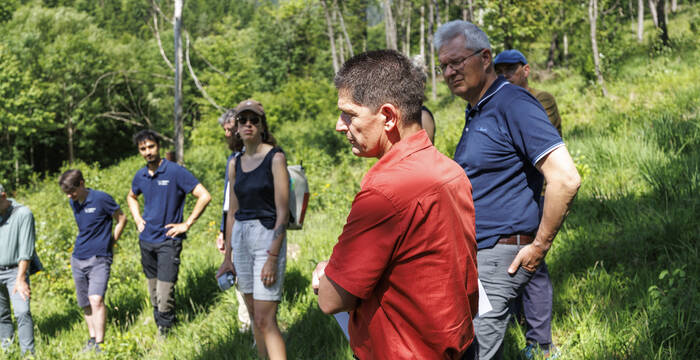 Jürg Hunziker, Projektleiter und Förster erklärt das Projekt und den weiter oben liegenden lichten Wald. © Matthias Sorg
