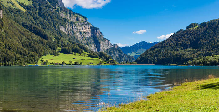 Tagesexkursion seltene Blüten unter mächtigen Felswänden, Klöntalersee GL