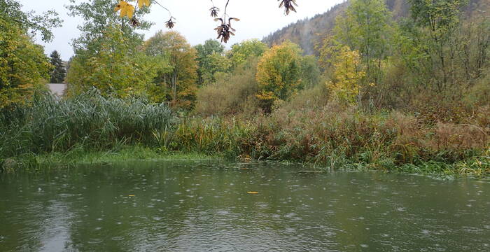 Le Sauvage