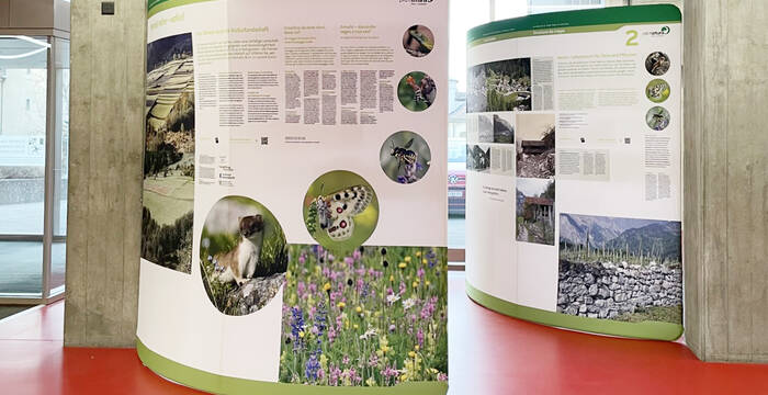 Ausstellungpanele