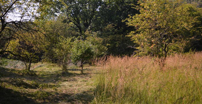 Marnières d'Hauterive