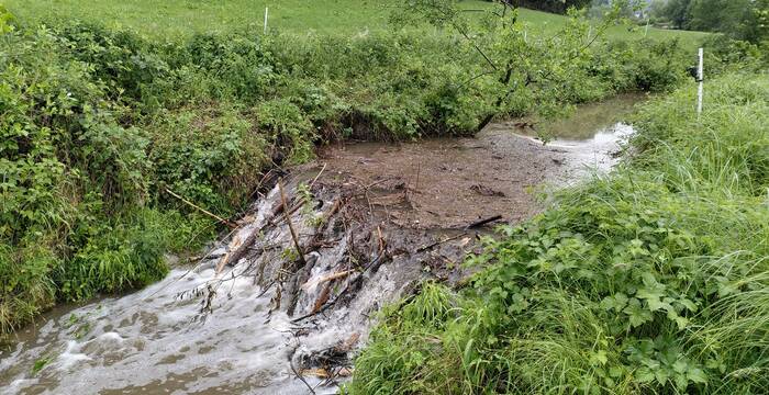 Der Biberdamm trotzt der erhöhten Wassermenge durch den Regenfall. Foto: Miriam Peretti