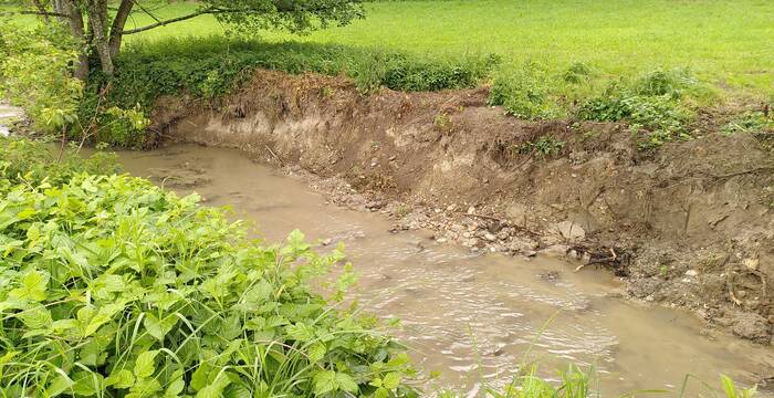In den Uferbereichen kommt es zur gewünschten natürlichen Erosion. Foto: Miriam Peretti