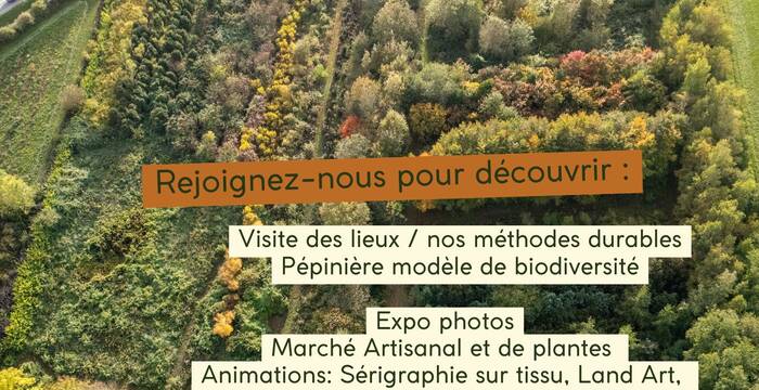 Dekor Vegetal