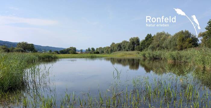 Blick übers Ronfeld